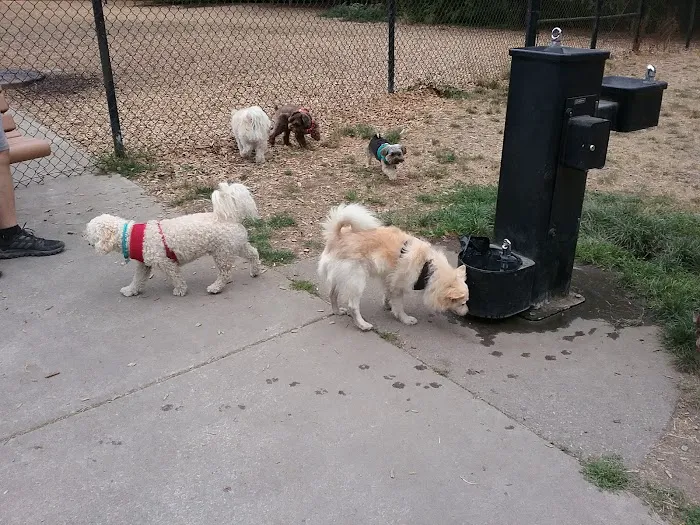 Beaver Lake Off-Leash Dog Park 1