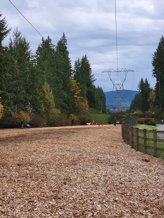 Beaver Lake Off-Leash Dog Park 9
