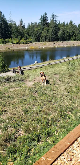 Dog Park 5