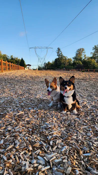 Dog Park 8