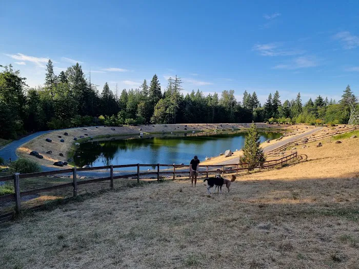 Dog Park 1
