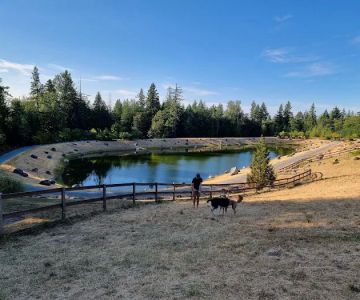 Dog Park
