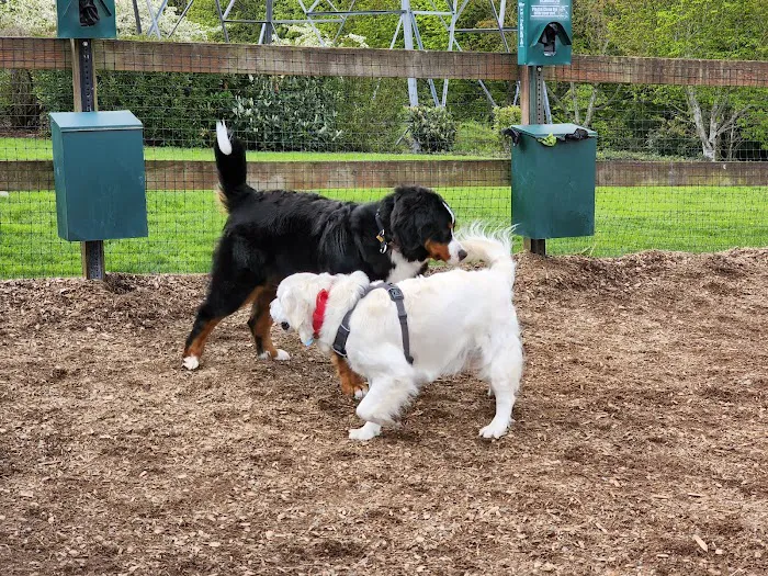 Dog Park 2