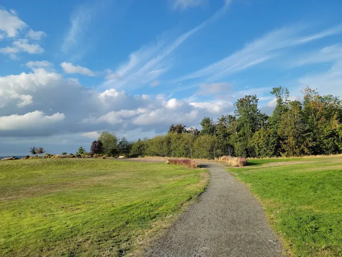 Dog Park 3