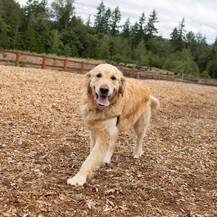 Issaquah Highlands Bark Park 7
