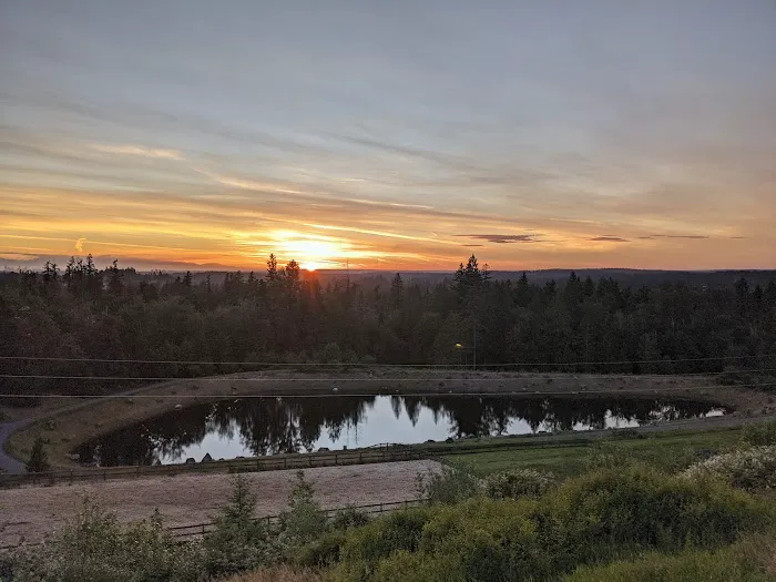 Issaquah Highlands Bark Park 2
