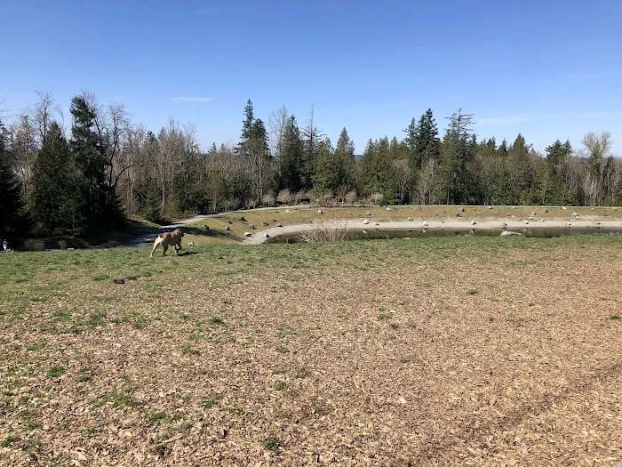 Issaquah Highlands Bark Park 10