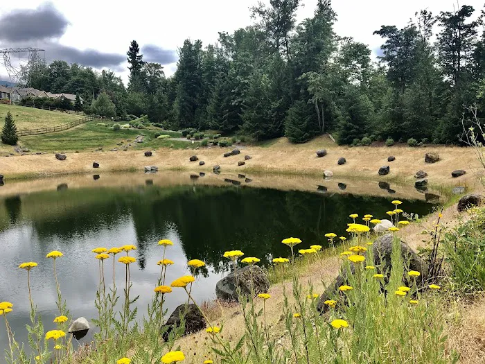 Issaquah Highlands Bark Park 4