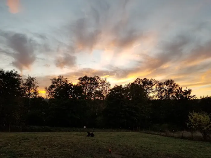 Duvall Dog Park 1