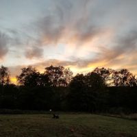 Duvall Dog Park ico