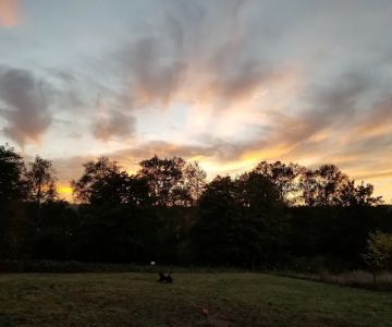 Duvall Dog Park