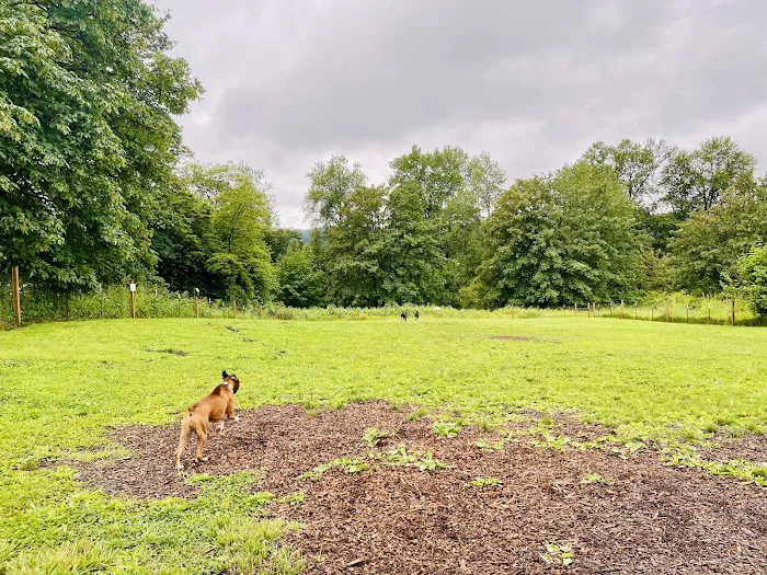 Duvall Dog Park 2
