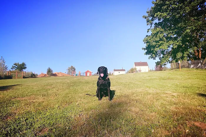 Duvall Dog Park 7