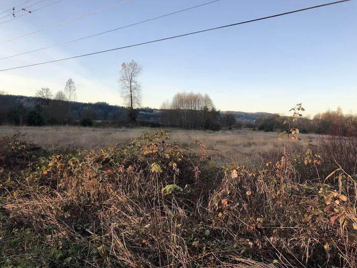 Duvall Dog Park 4