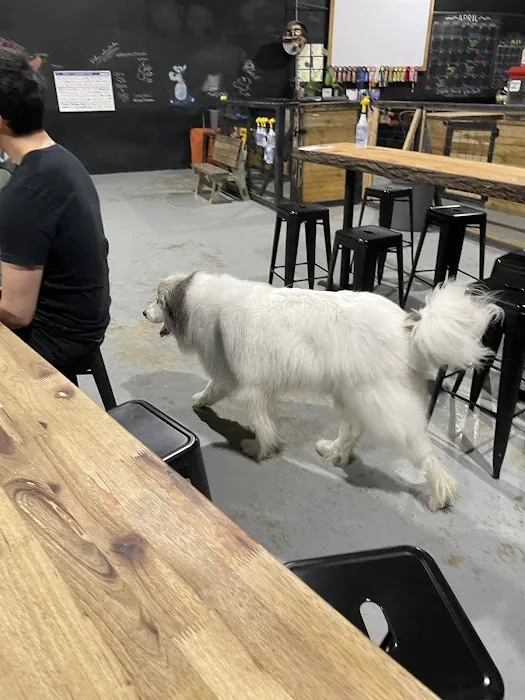 Ales and Tails 2