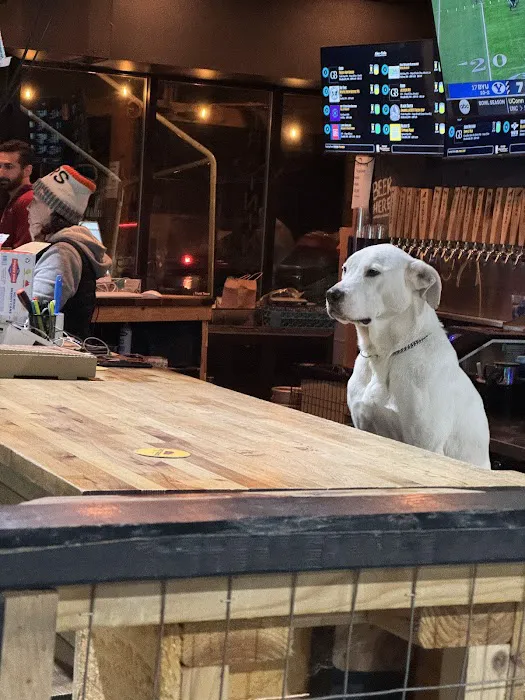Ales and Tails 7