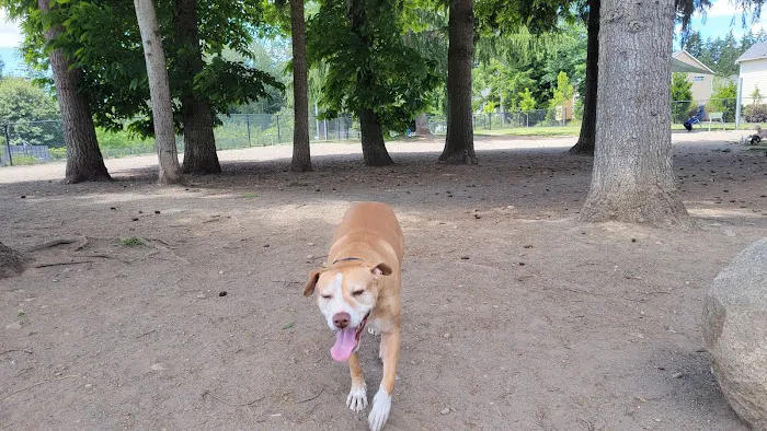 Morrill Meadows Dog Park 4