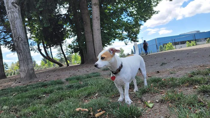 Morrill Meadows Dog Park 3