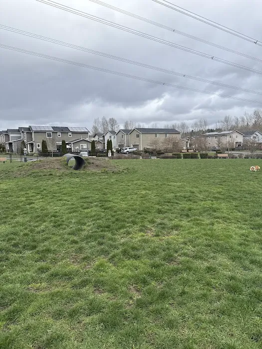Dog off Leash Area 1