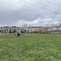 Dog off Leash Area ico