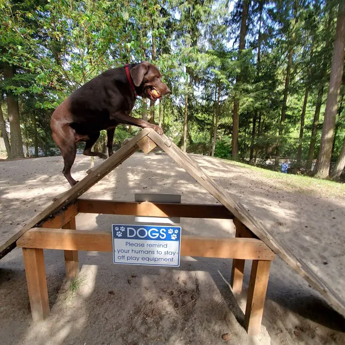 French Lake Off-Leash Dog Park 3