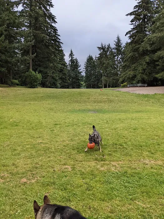 French Lake Off-Leash Dog Park 4