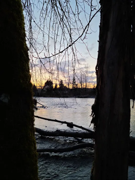 Off-leash park 1