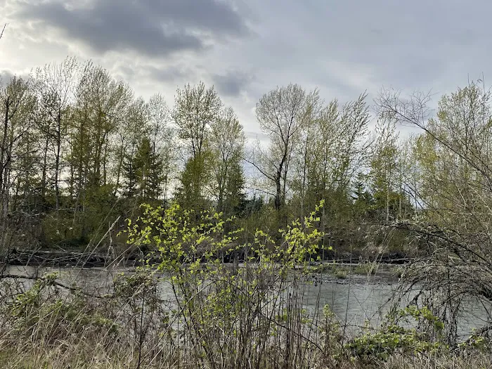 Off-leash park 3