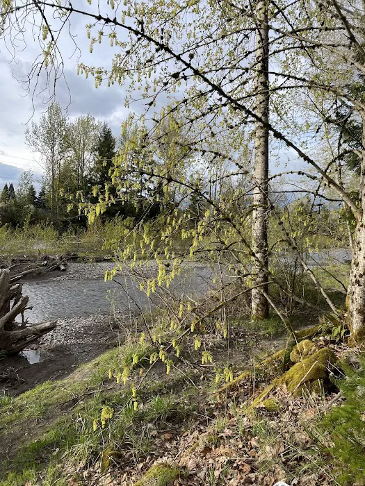 Off-leash park 5