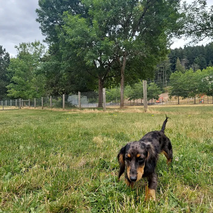 Off-leash park 9