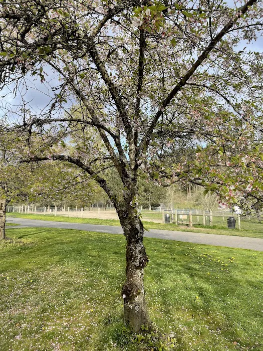 Off-leash park 8
