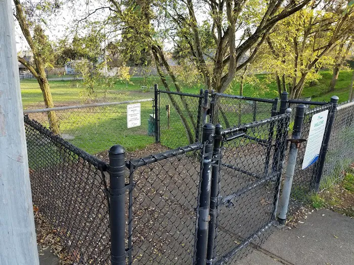 Rogers Dog Park 7