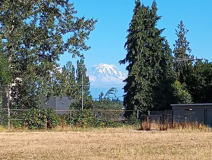 Rogers Dog Park 10