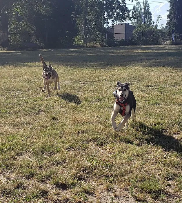 Rogers Dog Park 6