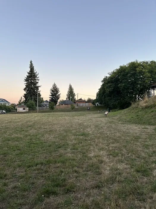 Rogers Dog Park 2