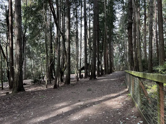 Point Defiance Dog Park 2