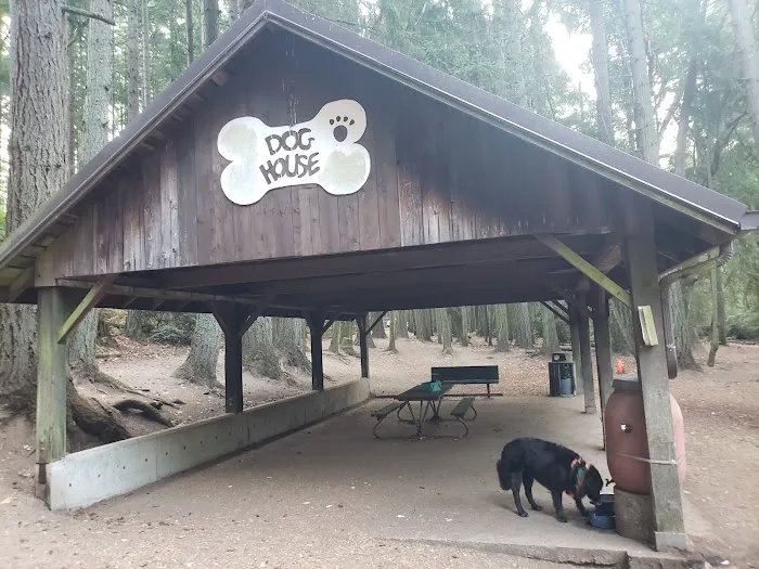 Point Defiance Dog Park 4