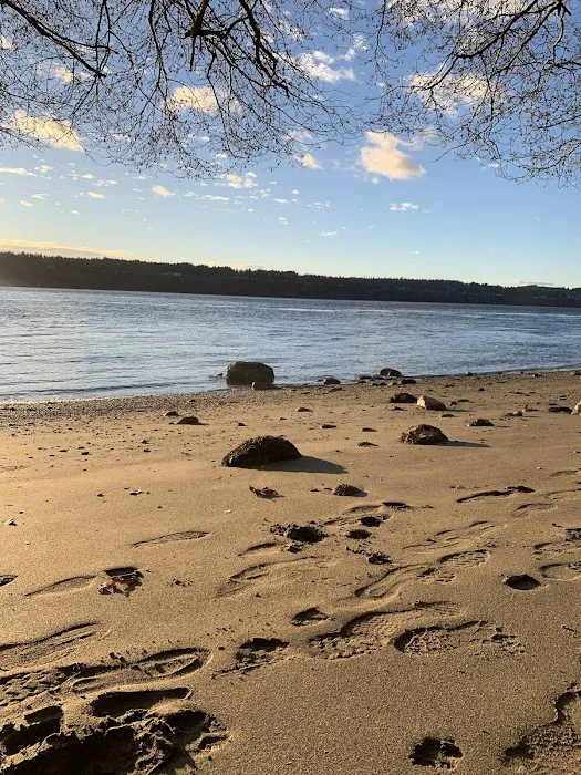 Point Defiance Dog Park 9