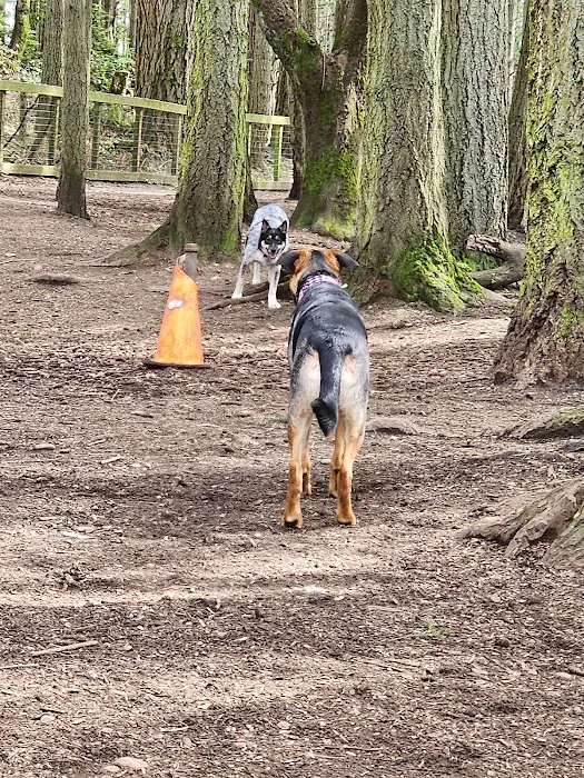 Point Defiance Dog Park 8