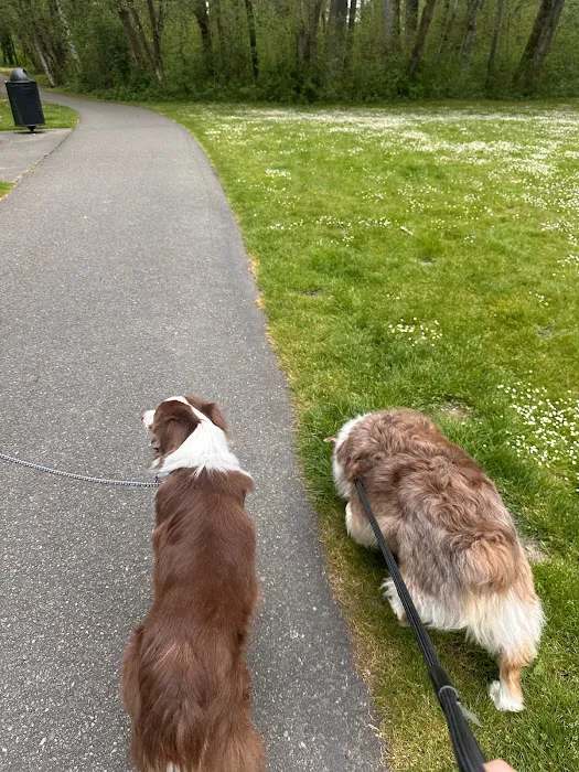 Clarks Creek Off-Leash Dog Park 1