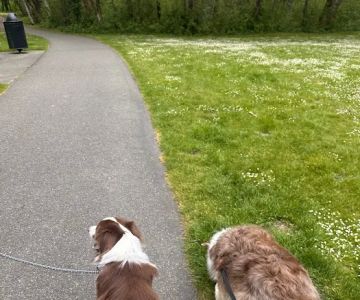 Clarks Creek Off-Leash Dog Park