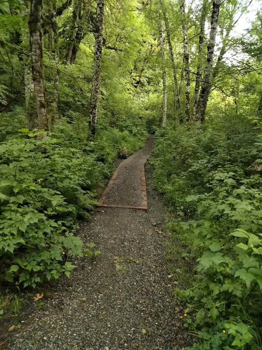 Clarks Creek Off-Leash Dog Park 2