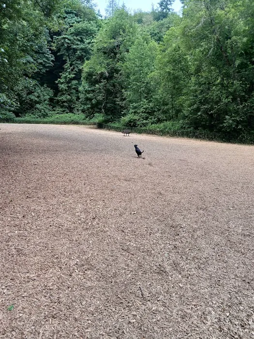 Clarks Creek Off-Leash Dog Park 5