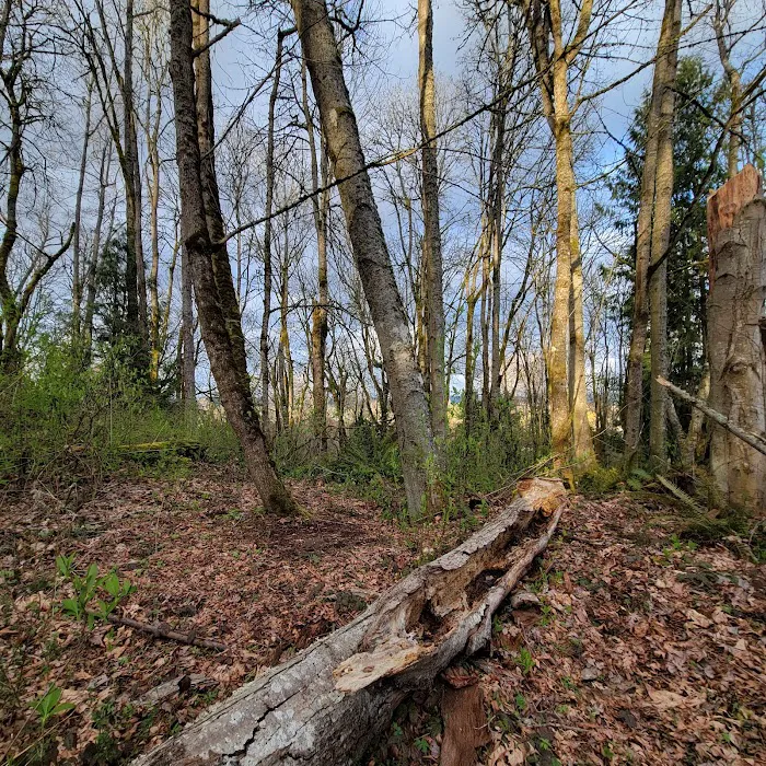Clarks Creek Off-Leash Dog Park 10