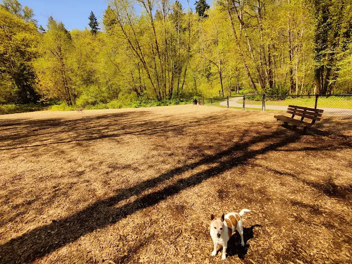Clarks Creek Off-Leash Dog Park 8