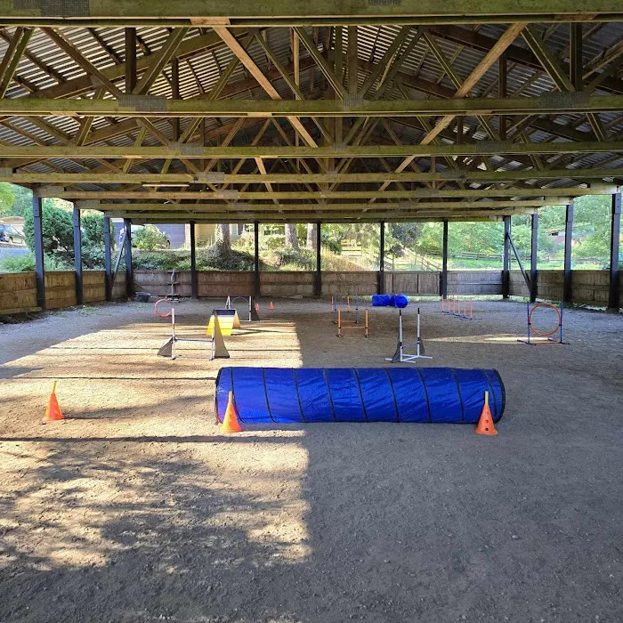 Linda's Private Arena for Dogs 9