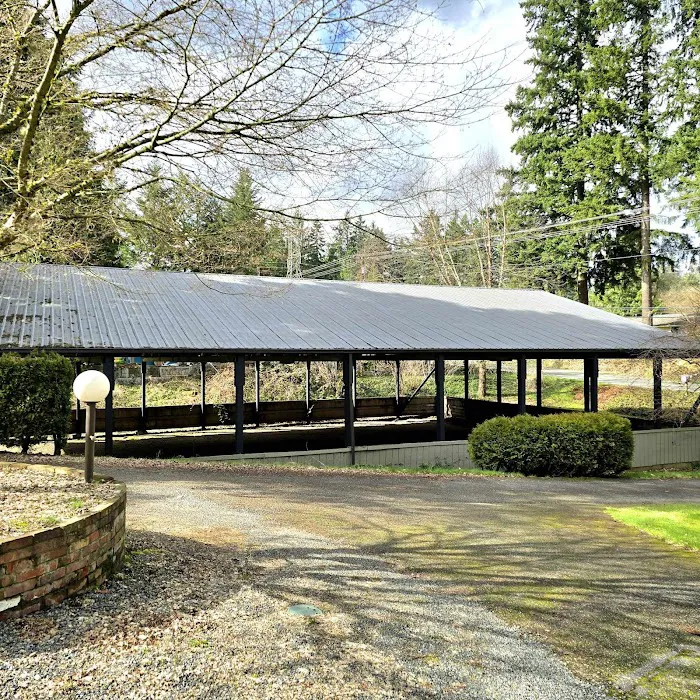 Linda's Private Arena for Dogs 4