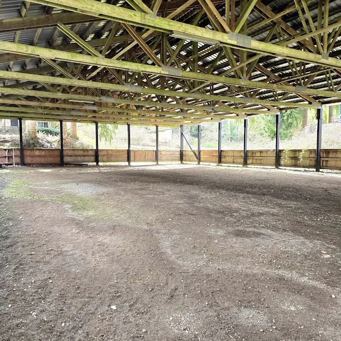 Linda's Private Arena for Dogs 7