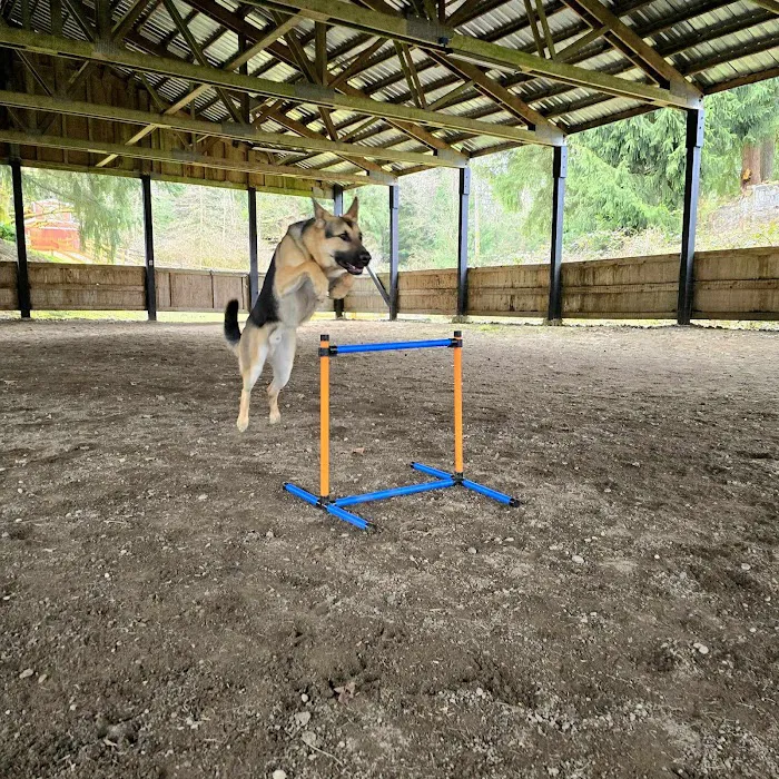Linda's Private Arena for Dogs 5