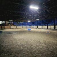 Linda's Private Arena for Dogs ico